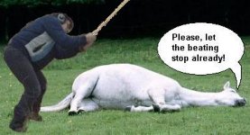 flogging a dead horse.jpg