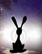 Rabbit-in-the-headlights1.jpg