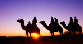 Silhouettes_of_people_camel_riding_at_sunrise_near_Uluru.jpg
