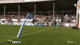 Marchant try.gif